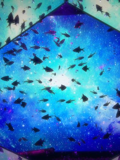 レイン (29) 大阪 萬天堂 / 出張性感マッサージ