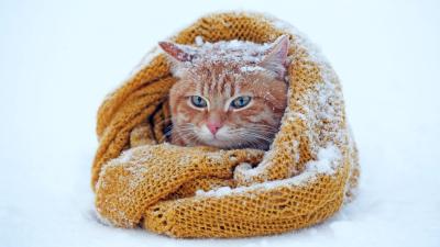 MIYABI (40) 信州 萬天堂 / 出張性感マッサージ