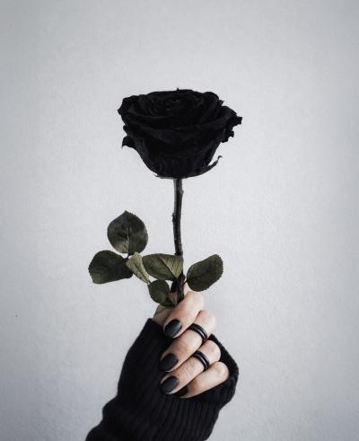 桓騎 (45) 名古屋 萬天堂 / 出張性感マッサージ