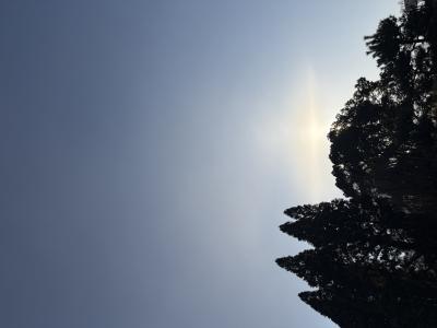 ツカサ (46) 岡山 萬天堂 / 出張性感マッサージ