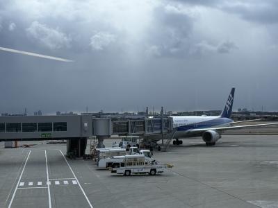 カズキ (51) 大阪 萬天堂 / 出張性感マッサージ