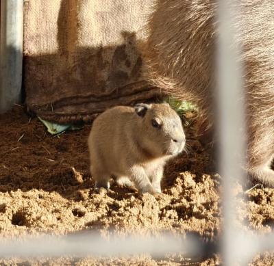 みなと (30) 東京 萬天堂 / 出張性感マッサージ