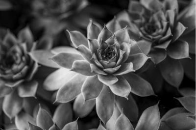 龍生 (47) 大宮 萬天堂 / 出張性感マッサージ