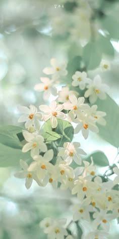 素敵を詰めた胸に鍵をかけてみたら 恭介 (49) 京都府（出張性感マッサージ