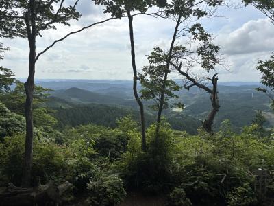 夏至の祈り 遣兎 (46) 茨城県（出張性感マッサージ