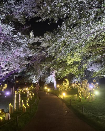 萌 (47) 東京 萬天堂 / 出張性感マッサージ