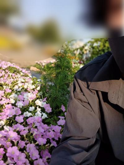 SATO (35) 柏 萬天堂 / 出張性感マッサージ