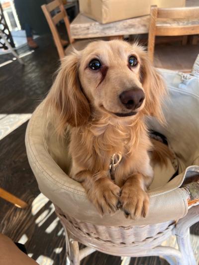 風羽 (34) 京都 萬天堂 / 出張性感マッサージ