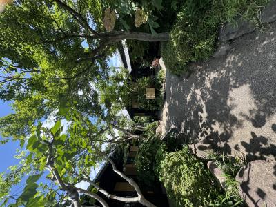 ユウト (35) 福岡 萬天堂 / 出張性感マッサージ