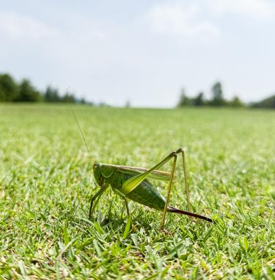 哲也 (51) 福岡 萬天堂 / 出張性感マッサージ