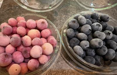 音 (33) 東京 萬天堂 / 出張性感マッサージ