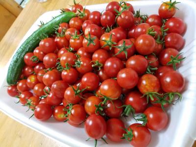 タケシ (51) 京都 萬天堂 / 出張性感マッサージ