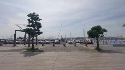 SINKA (50) 東京 萬天堂 / 出張性感マッサージ