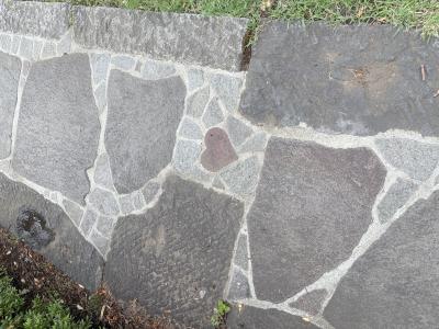 萌 (47) 東京 萬天堂 / 出張性感マッサージ