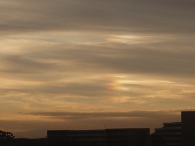 macoto (42) 柏 萬天堂 / 出張性感マッサージ