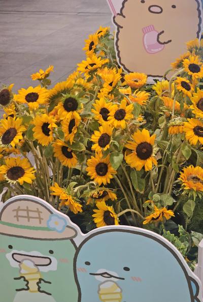 れんと (29) 大阪 萬天堂 / 出張性感マッサージ