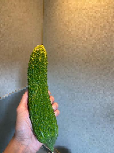 一 (35) 広島 萬天堂 / 出張性感マッサージ