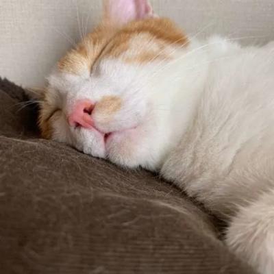 Natsu (27) 岡山 萬天堂 / 出張性感マッサージ