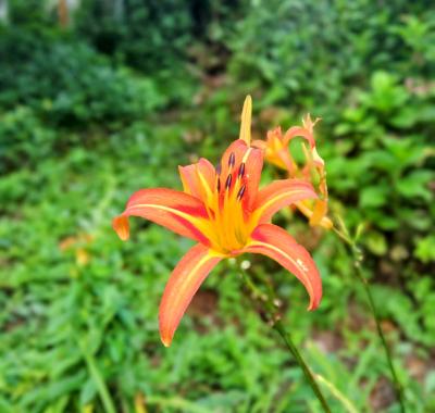 みちる (43) 大阪 萬天堂 / 出張性感マッサージ