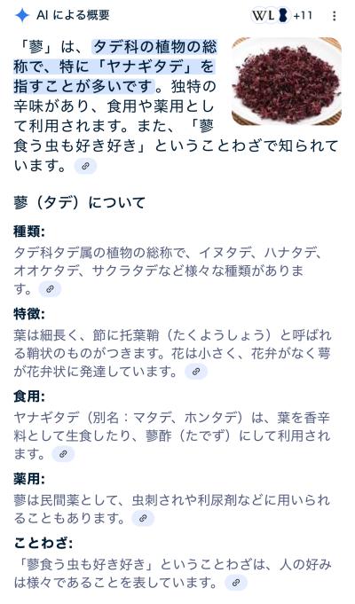一休 (30) 郡山 萬天堂 / 出張性感マッサージ