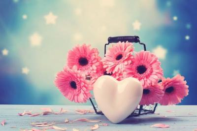 恭介 (48) 京都 萬天堂 / 出張性感マッサージ