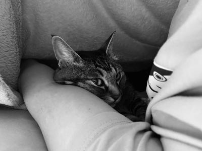 一 (35) 広島 萬天堂 / 出張性感マッサージ