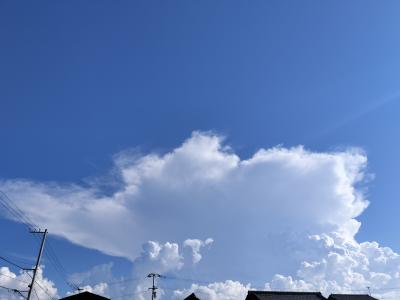 フクマル (43) 高松 萬天堂 / 出張性感マッサージ