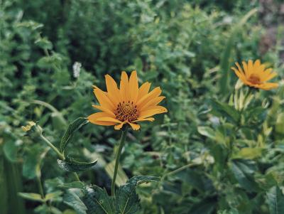 啓介 (30) 岐阜 萬天堂 / 出張性感マッサージ