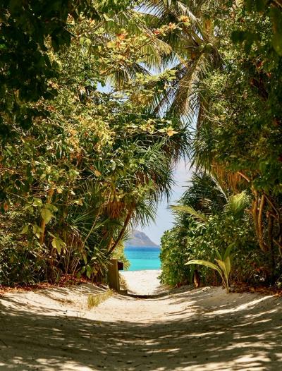 櫻井 (50) 富山 萬天堂 / 出張性感マッサージ