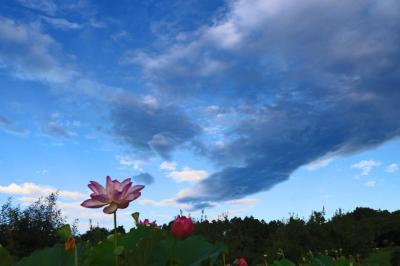 龍生 (47) 大宮 萬天堂 / 出張性感マッサージ