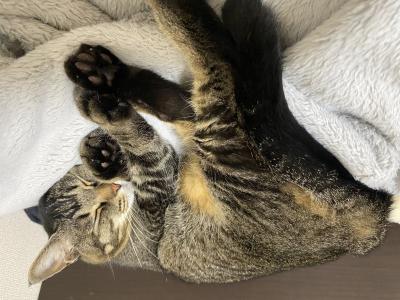 一 (35) 広島 萬天堂 / 出張性感マッサージ