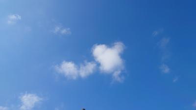 SINKA (50) 東京 萬天堂 / 出張性感マッサージ