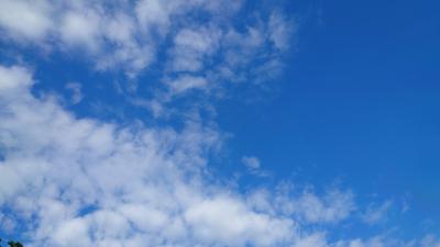 SINKA (50) 東京 萬天堂 / 出張性感マッサージ