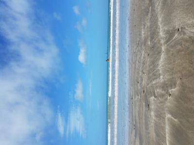 タケシ (51) 京都 萬天堂 / 出張性感マッサージ