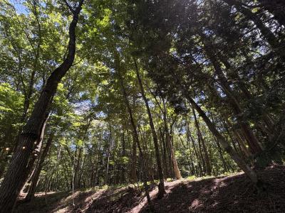 連 (28) 郡山 萬天堂 / 出張性感マッサージ