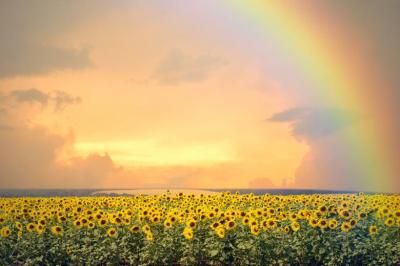 龍生 (47) 大宮 萬天堂 / 出張性感マッサージ