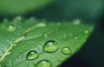 恭介 (48) 京都 萬天堂 / 出張性感マッサージ