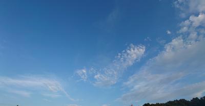 SINKA (50) 東京 萬天堂 / 出張性感マッサージ