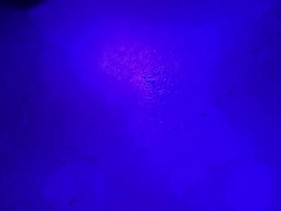 筧 (52) 大宮 萬天堂 / 出張性感マッサージ