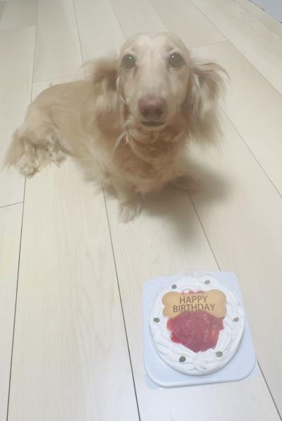 風羽 (34) 京都 萬天堂 / 出張性感マッサージ