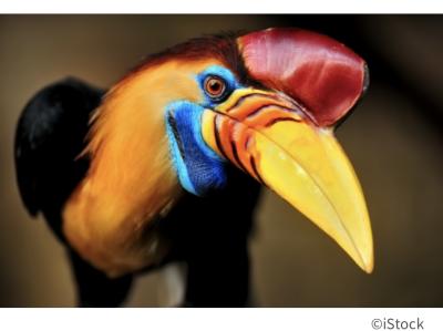 然 (41) 千葉 萬天堂 / 出張性感マッサージ