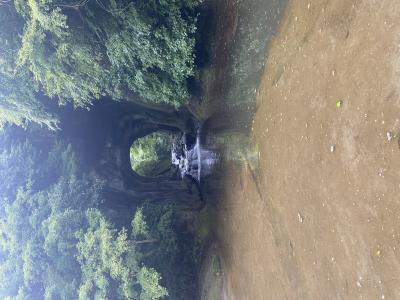 然 (41) 千葉 萬天堂 / 出張性感マッサージ