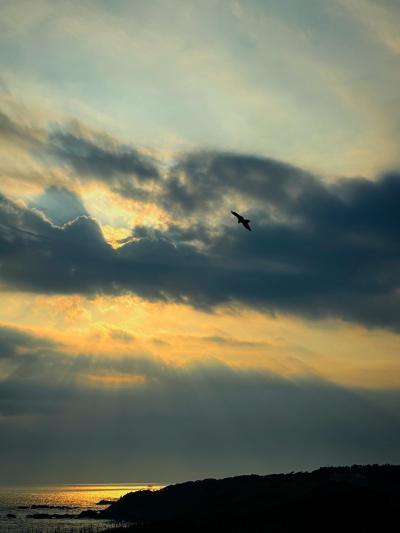 陽慈 (42) 高崎 萬天堂 / 出張性感マッサージ