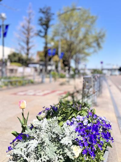 椎名 (52) 東京 萬天堂 / 出張性感マッサージ