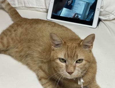 りゅうた (27) 奈良 萬天堂 / 出張性感マッサージ