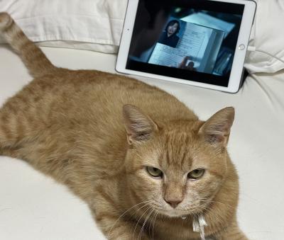 りゅうた (27) 奈良 萬天堂 / 出張性感マッサージ