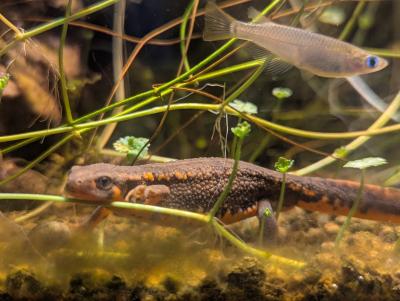 Vivi (33) 福岡 萬天堂 / 出張性感マッサージ