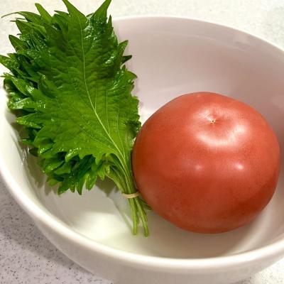 睦月 (42) 東京 萬天堂 / 出張性感マッサージ