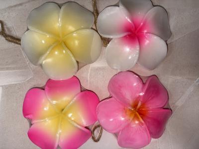 R (60) 近江 萬天堂 / 出張性感マッサージ