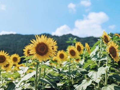 啓介 (30) 岐阜 萬天堂 / 出張性感マッサージ